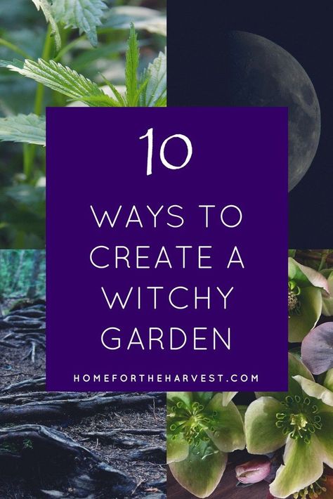 10 Ways to Create a Witchy Garden - How to grow your own witch's garden by the moonlight with herbs and other magical plants {wine glass writer} Food Merchandising, Witches Garden, Witch's Garden, Witchy Garden, Merchandising Tips, Tattoo Plant, Witch Herbs, Witch Garden, Organic Vegetable Garden