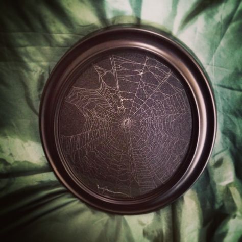 First web of the season ~  preserved spiderweb by Half Embalmed Diy Spiderweb, Spider Webs, Taxidermy, Spider Web, Tangled, Weaving, Art