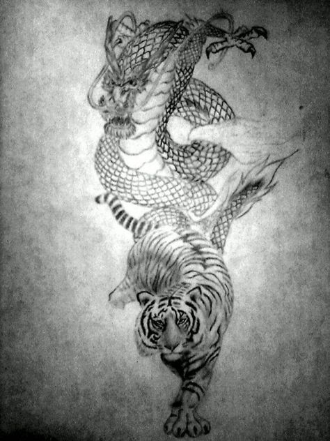 15  Best Tiger And Dragon Tattoo Designs and Ideas Crouching Tiger Hidden Dragon Tattoo, Tiger Dragon Tattoo, Tiger And Dragon Tattoo, Dragon And Tiger Tattoo, Golden Dragon Tattoo, Tiger Tattoo Designs, Tiger And Dragon, Dragon And Tiger, Crouching Tiger Hidden Dragon