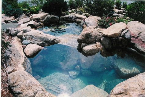 Swimming Pool Pond, Natural Swimming Ponds, Diy Swimming Pool, Swimming Pond, Natural Pond, Natural Swimming Pools, Natural Swimming Pool, Small Pools, Dream Pools