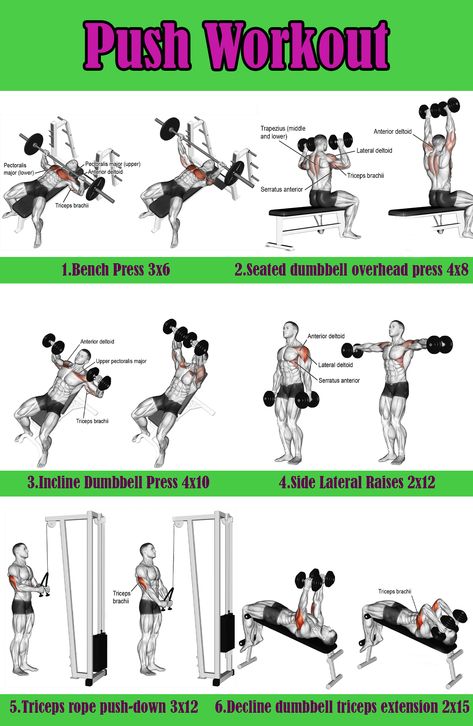 Chest Day Workout Men Gym, Push Day Workout Gym Men, Push Day With Dumbbells, Push Day Circuit, Best Push Day Workout, Push Day Routine, Push Gym Workouts, Push Dumbbell Workout, Push Day Dumbbell Workout