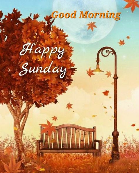 Fall Sunday Morning Quotes, Happy Sunday Autumn, Sunday Fall, Fall Friday, Fall Sunday, Fall Greetings, Weekly Blessings, Good Morning Sunday Images, Sunday Morning Quotes