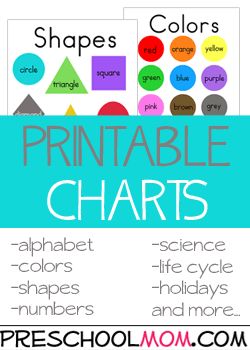 Preschool Color Theme Printables These printables provide children with opportunities to practice and review their basic color knowledge.   Featuring printable charts, wordwall cards, bingo games, file folder games, classroom charts, bookmarks coloring pages and more. Free Preschool Printables at Preschool Mom Preschool Color Theme, Bookmarks Coloring, Preschool Charts, Colors Chart, Preschool Mom, Color Knowledge, Classroom Charts, File Folder Activities, Free Preschool Printables