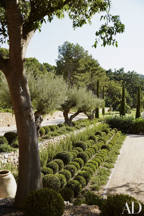 Terraced rows of boxwood spheres border the entry court. Romantic Villa, Mediterranean Garden Design, Provence Garden, France Provence, Mediterranean Landscaping, Luxury Garden, French Beauty, Mediterranean Garden, French Garden