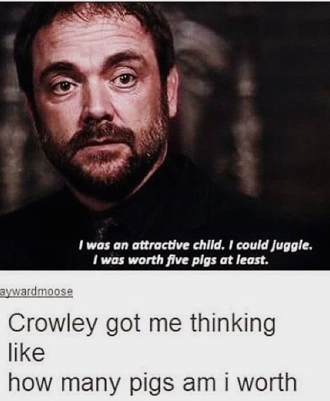 Supernatural Funny Quotes, Crowley Funny, Crowley Quotes, Crowley Supernatural, Supernatural Tumblr, Spn Memes, Supernatural Imagines, Supernatural Fan Art, Supernatural Wallpaper