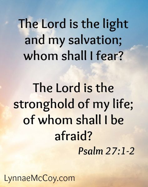 Wednesdays in the Word - Psalm 27:1-2 - http://lynnaemccoy.com/?p=5380 Psalm 91 Prayer, Spirit Lead Me, Psalm 27, American Heart Association, Psalm 91, Bible Facts, Fear Of The Lord, Faith Prayer, Our Future