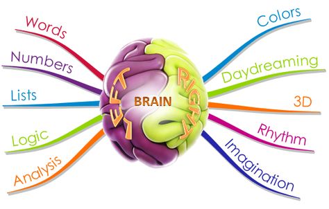 Multiple Intelligence, خريطة ذهنية, Brain Logo, Brain Gym, Brain Exercise, Speed Reading, Flipped Classroom, Right Brain, Ways Of Learning