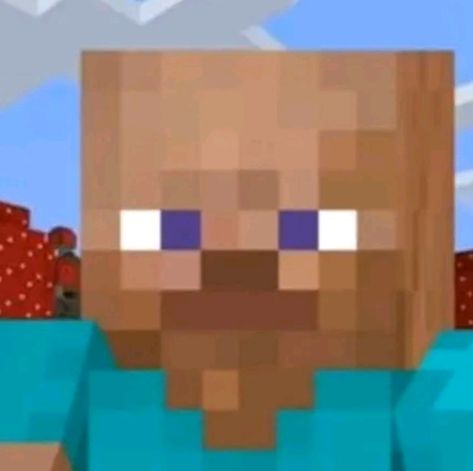 Steve calvo Steve Meme, Minecraft Steve, Minecraft, Phone Wallpaper, Halloween, Memes, Anime, Art