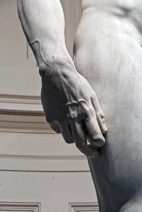 The veins in David's imposing right hand appear astonishingly lifelike, almost as if they are transcending the limitations of the marble they were meticulously carved from. Chief Architect, Greek Sculpture, Byzantine Art, The Marble, Marble Statues, Marble Sculpture, Art Academy, Greek Myths, Small Canvas