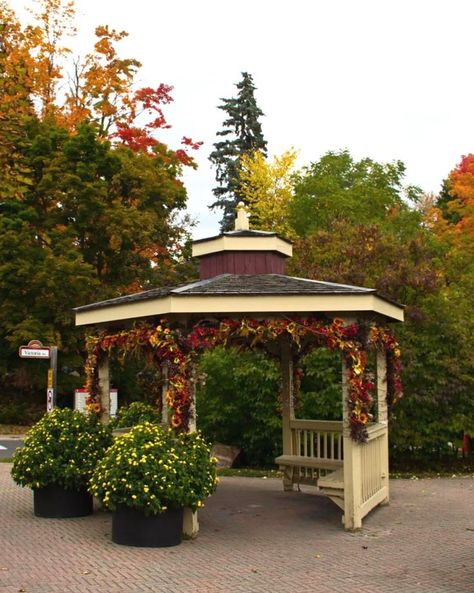 Brimming with small town charm and character, the historic Main Street Unionville is the perfect place to spend the day visiting local shops, grabbing coffee, and taking in the beautiful Autumn foliage.🍂 Only a 20 minute drive from Toronto, Main Street Unionville is a destination worth visiting with so much to see and do. Have you had a chance to visit this picturesque town? 📸: @plannedwanderings gilmore girls fall aesthetic Gilmore Girls Fall Aesthetic, Gilmore Girls Fall, Planet Coaster, Small Town Life, Places To Explore, Local Shops, Autumn Foliage, Girls Fall, Fall Activities