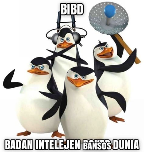 Penguin Bandar, Meme Penguin, Pinguin Meme, Jokes Pics, Cartoon Jokes, Blackpink Photos, Madagascar, Funny Stickers, Penguins