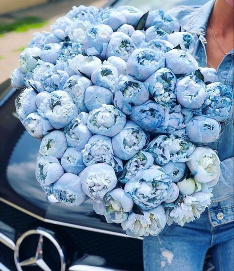 1 2 3, Blue Flowers, Peonies, Bouquets, Flowers, On Instagram, Blue, Instagram