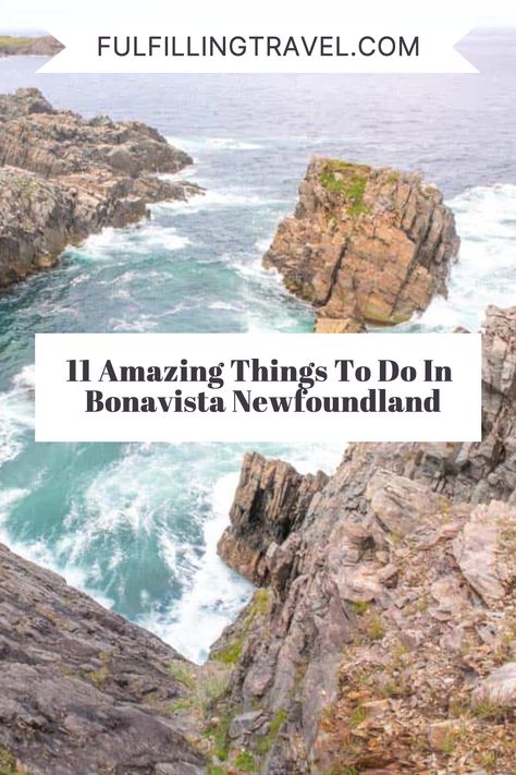 Looking for an epic adventure in Newfoundland, Canada?😍 Check out our 📌11 Amazing Things To Do In Bonavista Newfoundland (& The Bonavista Peninsula)🌊! From whale watching ✨ to hiking through lush landscapes, you'll never run out of things to do here. Pin now and plan your dream trip! ���💖 Bonavista Newfoundland, Newfoundland Travel, Newfoundland Canada, Dream Trip, Free Camping, Rv Parks, Whale Watching, Canada Travel, Newfoundland