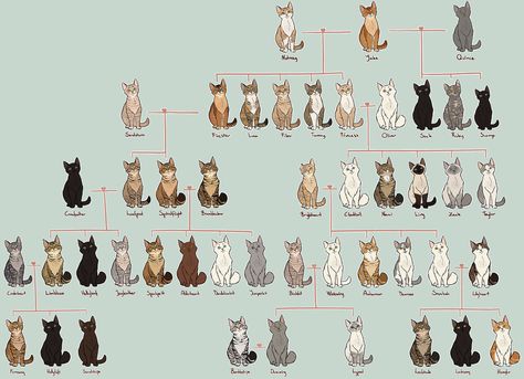 Family Tree -firestar- CANON by AnnMY.deviantart.com on @DeviantArt Warrior Cat Memes, Warrior Cats Series, Serval Cats, Herding Cats, Warrior Cats Books, Cat Work, Warrior Cats Fan Art, Warrior Cat Drawings, Love Warriors