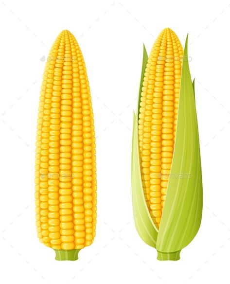 Popcorn Healthy, Cooking Popcorn, Fruits And Vegetables Images, Food Vector, Corn Cob, Yellow Corn, Eco Friendly Brands, Dslr Background, Fruit Photography