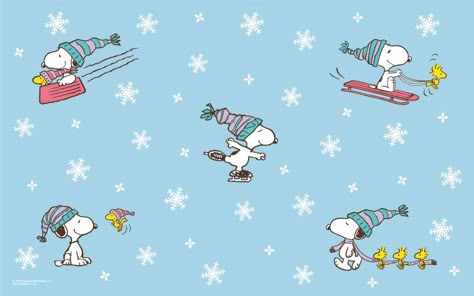 Snoopy Winter Snoopy, Disney Moodboard, Fb Banner, Christmas Snoopy, Snoopy Cartoon, Christmas Desktop, Snoopy And Charlie Brown, Peanut Gang, Peanuts Cartoon