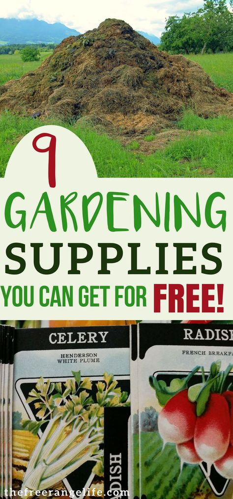 Are you new to homesteading, gardening, or farming? Need gardening tips and tricks, and gardening essentials ideas to grow the perfect homestead garden? These 9 gardening supplies are inexpensive, easy to use, and the best for growing perfect vegetables! Cheap Garden Ideas, Frugal Gardening, Cheap Garden, Garden Ideas Cheap, Organic Vegetable Garden, Home Vegetable Garden, Creative Gardening, Organic Gardening Tips, Flowers Wallpaper