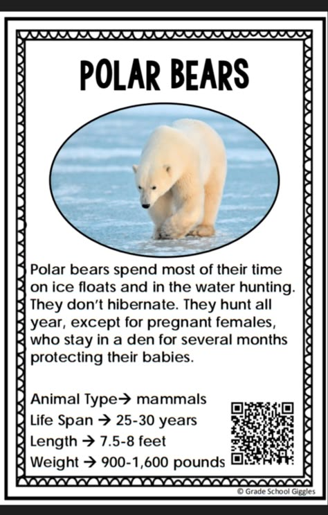 Polar Bear Facts For Kids, Snow Inquiry Kindergarten, Arctic Animal Science, Attic Animals, Polar Bears Preschool, Arctic Animals Preschool Activities, Polar Animals Preschool, Winter Animals Preschool, Animals Preschool Activities