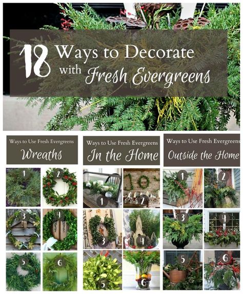 Be inspired and learn some great techniques when working with fresh evergreens during the holidays and the entire winter season. Crafts Homemade, Homemade Bath, Evergreen Wreath, Christmas Decorations Diy Outdoor, Diy Wreaths, Home Decor Projects, Back To Nature, Christmas Activities, Outdoor Christmas Decorations