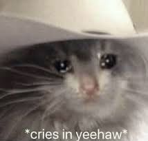 Memes Cute, Cute Moments, Reaction Pic, The Story, Cowboy, Wattpad, Humor, Memes, Books