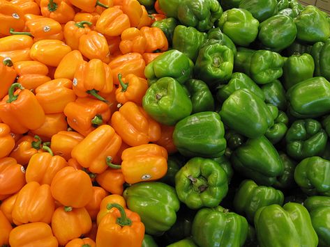 Dehydrating green, red, or yellow bell peppers is not hard to do. The dried pepper yields very intense flavor, and is a nice addition to your kitchen bag of tricks. Dehydrated peppers of any color also store well, so they add to your long-term food supplies, as well. The dried 'meat' of the bell pepper can be ground up and used as a seasoning for cooking, or added at the table on salads, pasta or other dishes. Once rehydrated, not only the bell pepper can be used but the flavorful water used to Dehydrating Peppers, Dehydrated Peppers, Drying Peppers, Italian Sausage Casserole, Drying Fruit, Green Pepper Soup, Sausage Casserole Recipes, Pepper Casserole, Cooking Eggplant