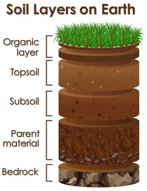 Soil Worksheet, Layers Of Soil, Engineering Life, Engineering Civil, Earth Science Activities, Structural Engineer, Civil Construction, Geography Lessons, Agriculture Education