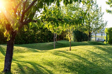 What is a Berm in Landcaping? Landscape Berm Ideas Mounds And Berms, Landscape Mounds And Berms, Landscaping Berm Ideas, Landscape Mounds, Fruit Tree Garden, Tree Garden, Garden On A Hill, Evening Sunset, Landscape Elements