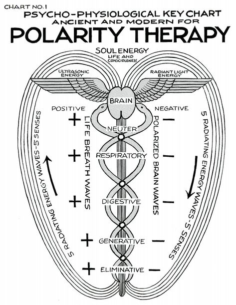 METANOIA-WORLD — Polarity Therapy  Charts 1-6, 11-13 “ Polarity... Polarity Therapy, Secret Energy, Egiptul Antic, Sacred Science, Sacred Geometry Symbols, Alchemy Symbols, Spirit Science, Energy Medicine, Ancient Knowledge