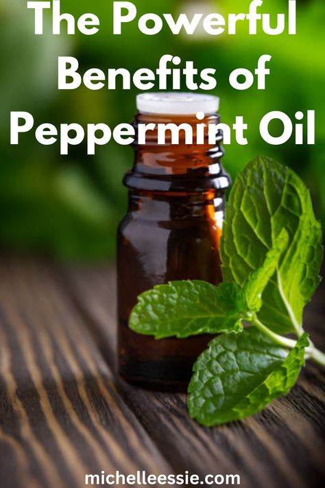 Peppermint oil is an aromatic herb in the mint family. The main components of peppermint oil are menthol and menthone. It has been used overtime to help alleviate ailments, such as digestive issues, pain relief, and skin and hair health. Read more for some of the powerful benefits of peppermint oil.#peppermintoil Benefits Of Peppermint Oil, Benefits Of Peppermint, Peppermint Oil Benefits, Easy Green Smoothie Recipes, Easy Green Smoothie, Apple Cider Benefits, Digestive Issues, Budget Friendly Decor, Best Skincare Products