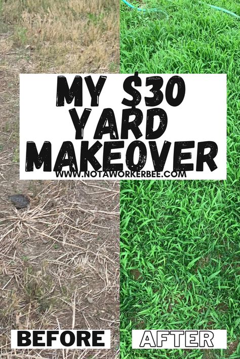 Clean Yard Landscaping, Diy Beginner Landscaping, Yard Work For Beginners, Cheap Lawn Ideas Front Yards, How To Landscape Front Yard On A Budget, Yard Improvement Ideas Easy Diy, Diy Yard Makeover Cheap, Easy Cheap Front Yard Landscaping, Easy Upkeep Landscaping