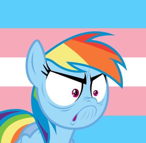 Rainbow Dash Pfp, Rainbow Dash, My Little Pony, Rainbow