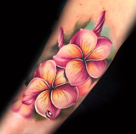 Fiori Frangipani, Frangipani Tattoo, Tropical Flower Tattoos, Wildflowers Tattoo, Hawaiian Flower Tattoos, Hawaiian Tattoos, Plumeria Tattoo, Flower References, Hawaii Tattoos