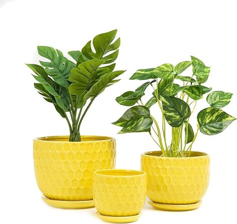 Amazon.com: Nattol Yellow Ceramic Flower Pots with Saucers, Modern Round Ceramic Succulent Plant Pots with Honeycomb Inspired Texture Design, Small to Medium Sized, Set of 3 : Patio, Lawn & Garden Yellow Planter, Yellow Plants, Yellow Mugs, Ceramic Succulent, Drainage System, Yellow Ceramics, Pot Set, Ceramic Flower Pots, Modern Planters