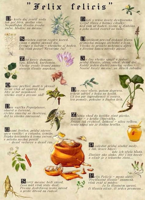 Felix Felicis ingredients Harry Potter Potions Recipes, Harry Potter Potion Ingredients, Potions For Kids, Hogwarts Classes, Harry Potter Rpg, Felix Felicis, Citate Harry Potter, Potions Recipes, Harry Potter Potions