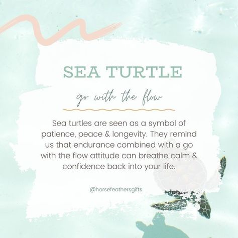 Sea Turtle Quotes, Symbol Of Patience, Calm Confidence, Turtle Quotes, Sea Turtle Pictures, Sea Turtle Design, Turtle Tattoo Designs, Sales Quotes, Animal Symbolism