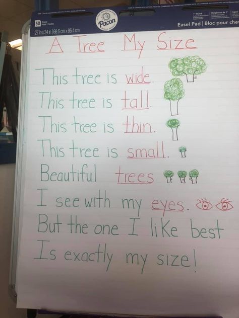 Tree Study For Prek, Characteristics Of Trees Preschool, Tree Anchor Chart Preschool, Tree Songs Preschool, Tree Study Dramatic Play Area, Tree Preschool Theme, Prek Tree Activities, Trees Unit Preschool, Prek Tree Study