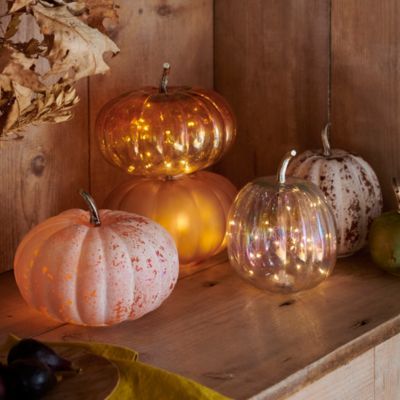 Home - Fall - Shop - Shop Fall 2023 - Terrain Fall Blessings, Urban Design Graphics, Waterproof Led Lights, Marble Bowl, Fall Thanksgiving Decor, Glass Cloche, Pumpkin Lights, Candle Inspiration, Glass Pumpkins