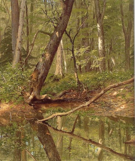 Forest Pool, Church Drawing, Frederic Church, The National Gallery London, Frederic Edwin Church, National Gallery London, Hudson River School, Historical Painting, American Painting