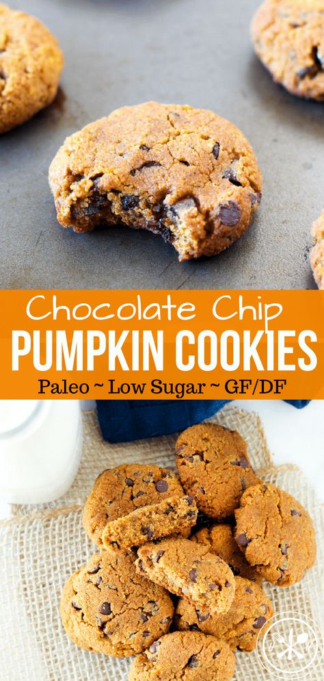 Paleo Pumpkin Chocolate Chip Cookies, Paleo Pumpkin Cookies, Healthy Holiday Treats, Cookies Pumpkin, Dairy Free Cookies, Pan Sin Gluten, Paleo Cookies, Paleo Baking, Healthy Chocolate Chip