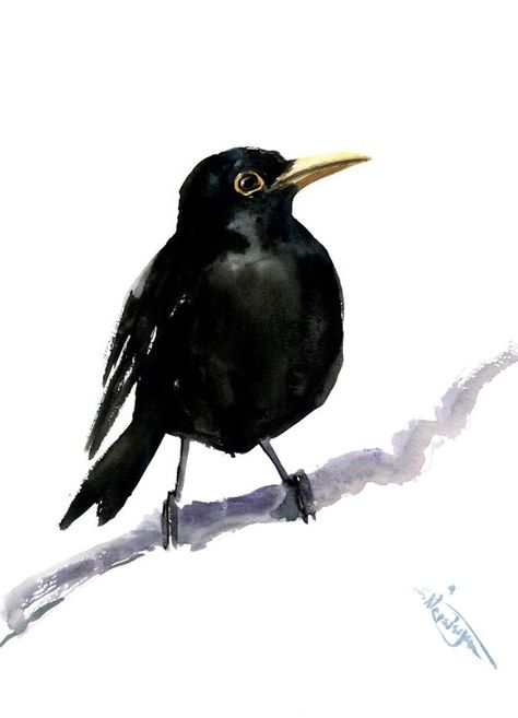 Buy Blackbird, Watercolor by Suren Nersisyan on Artfinder. Discover thousands of other original paintings, prints, sculptures and photography from independent artists. Blackbird Watercolor, Chinese Painting Flowers, Diy Totem, Suren Nersisyan, Bird Watercolor Paintings, Watercolor Birds, Totem Poles, Black Birds, Bird Photos