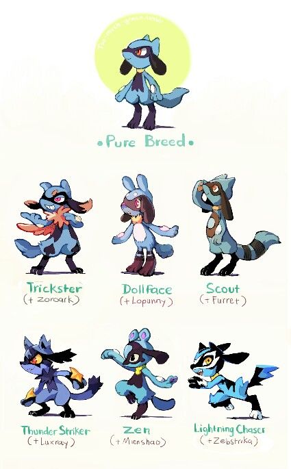 Pokemon variations Female Lucario, Types Of Pokemon, Pokemon Princess, Pokémon Fusions, Pokemon Variations, Lucario Pokemon, Pokemon Fusion Art, Mega Pokemon, Pokemon Breeds