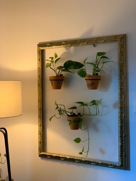 DIY FLOATING MINI PLANTER FRAME Frame With Plants Inside, Framed Plants On Wall, Plants In Frames, Plant In Frame, Plant Frame Wall Decor, Empty Frames On Wall Decor Ideas, Hanging Glass Frames, Cali House, Plant Frame