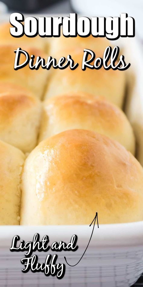 Easy Sourdough Rolls, Discard Dinner Rolls, Sourdough Discard Dinner Rolls, Sourdough Discard Dinner, Discard Rolls, Sourdough Discard Rolls, Dough Starter Recipe, Sourdough Dinner, Sourdough Starters