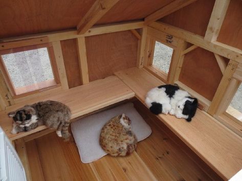 Heated Pet Houses Multiple Cats | Luxury Lounging Hideout For One or Multiple Cats Heated Outdoor Cat House, Dog House Plan, Cat House Ideas, Cat House Plans, Tall Dog, Cat Shelters, Outdoor Cat Shelter, Feral Cat Shelter, Feral Cat House