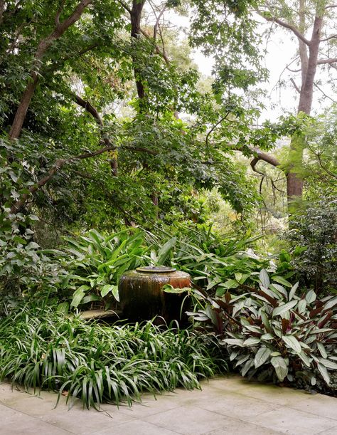 Tropical Landscape Design, Tropical Garden Design, San Martino, Estate Garden, Japanese Garden Design, Garden Villa, Green Backdrops, Luxury Garden, Garden Aesthetic