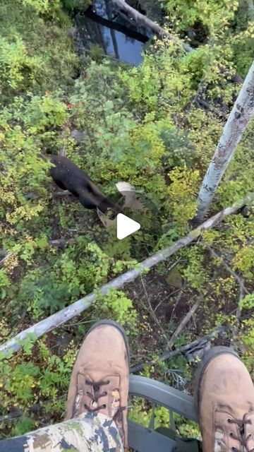 Rockymountainracks on Instagram: "Super cool tree stand experience from last hunting season, I’m trying too locate his sheds, tips would be awesome! #moose #treestand #hunting #therut" Deer Stand Ideas, Deer Hunting Aesthetic, Saddle Hunting, Moose Hunting, Moose Deer, Pheasant Hunting, Deer Stand, Elk Hunting, Hunting Season