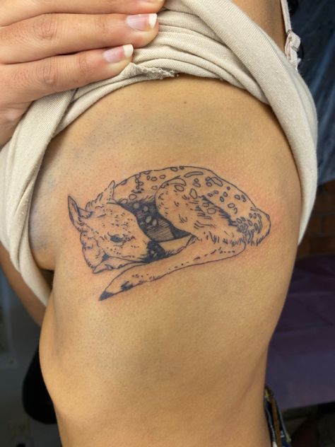 Roadkill Tattoo, Sensitivity Tattoo, Simple Deer Tattoo, Antelope Tattoo, Fawn Tattoo, Aurora Tattoo, Antler Tattoo, Funky Tattoos, Deer Tattoo