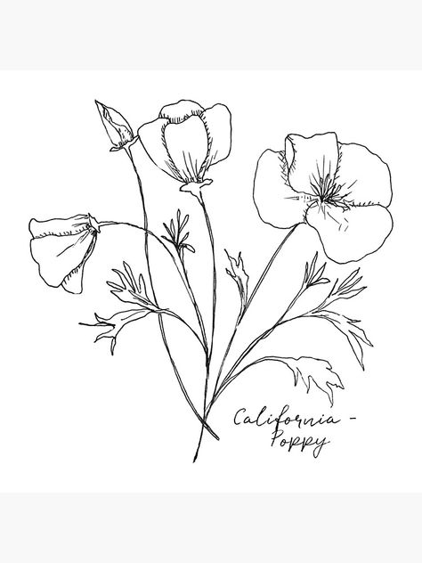 Flower Tat, Botanical Illustration Vintage, Easy Doodles Drawings, California Poppy, Floral Sleeve, Ink Illustrations, Poppy Flower, Doodle Drawings, Tag Art