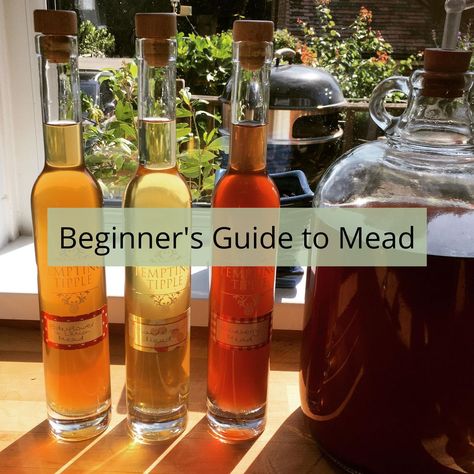 Mead For Beginners, Fruit Mead Recipe, Spiced Mead Recipe, Honey Mead Recipe, Mead Wine Recipes, Making Mead, Mead Recipes, Make Mead, Mead Making