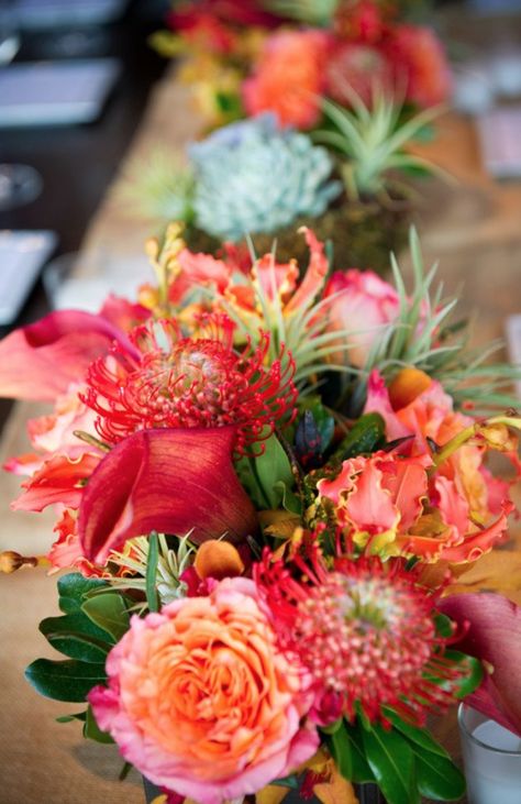 Beautiful, bright succulents. Tropical Wedding Flowers, Fiesta Tropical, Connecticut Wedding, Cute Wedding Dress, Hawaiian Wedding, Deco Floral, Fall Wedding Dresses, Tropical Wedding, Floral Centerpieces